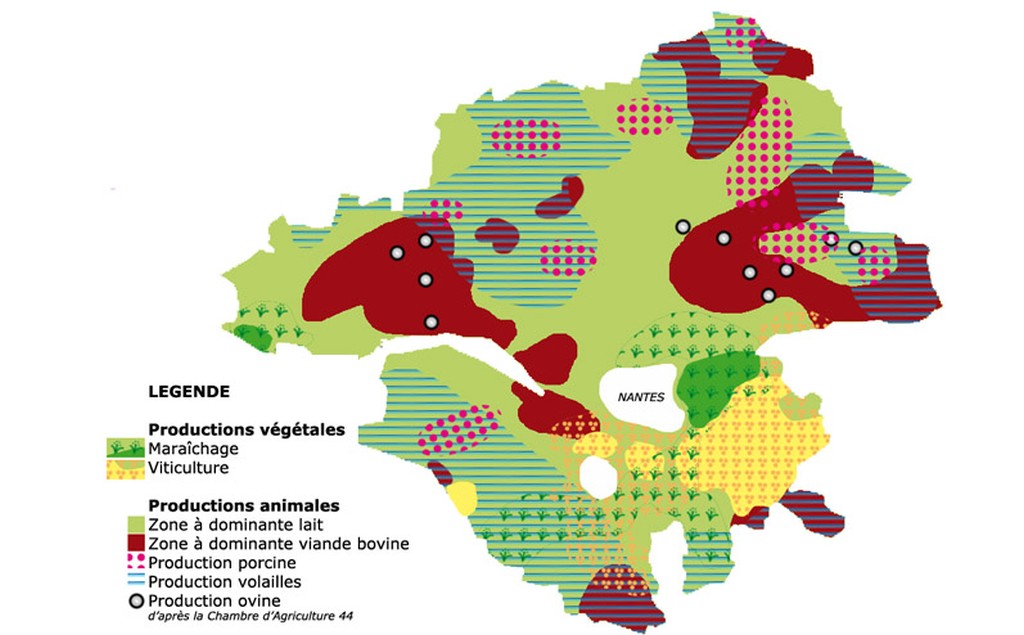 LOIRE-ATLANTIQUE: DISPERSION DU LOUP. - Observatoire Du Loup